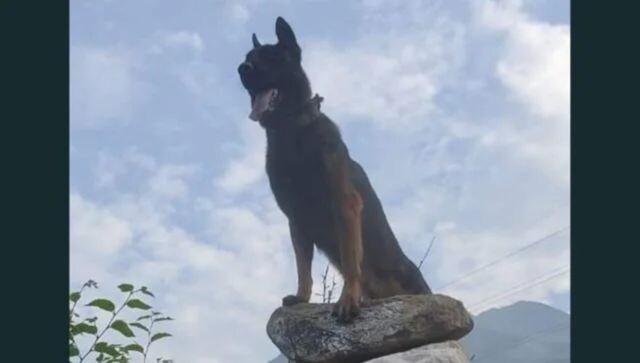 Dogged fight: Watch how Indian Army dog Zoom-ed in on the enemy
