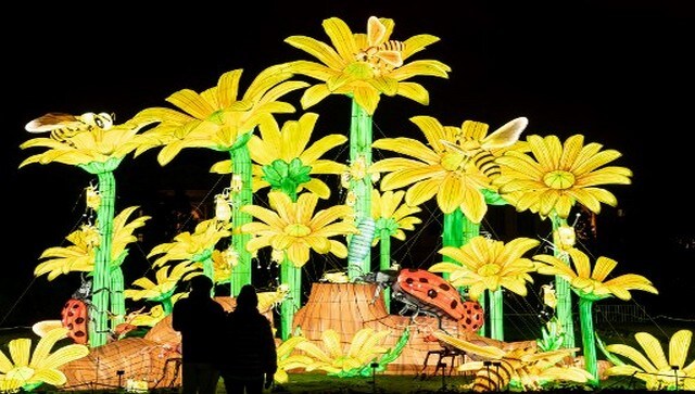 Yellow flowers, ladybugs and honeybees shaped light structures displayed at Paris’ Festival of Light. Usually, the festival has different themes related to endangered species around the world. This year’s exhibition was dedicated to the little creatures that exist in the world. AFP Yellow flowers, ladybugs and honeybees shaped light structures displayed at Paris’ Festival of Light. Usually, the festival has different themes related to endangered species around the world. This year’s exhibition was dedicated to the little creatures that exist in the world. AFP