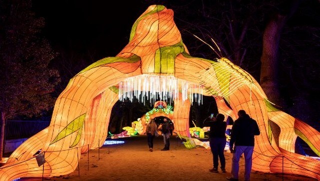 Visitors look at shaped light structures on display at the Jardin des Plantes in Paris. The light festival also features live shows about nature. AFP Visitors look at shaped light structures on display at the Jardin des Plantes in Paris. The light festival also features live shows about nature. AFP