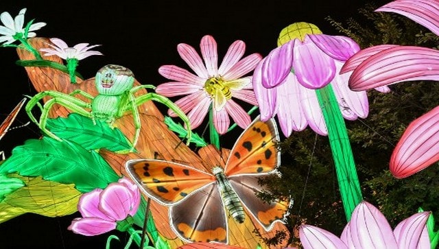 Light structures shaped in flowers and butterflies on display at the Jardin des Plantes in Paris, as part of the Fete des Lumieres exhibition titled “Mini-Mondes en voie d’illumination” meaning mini-worlds in the process of illumination. The Festival of Lights is a night exhibition that takes place in one the most beautiful gardens in Paris located in the 5th arrondissement. AFP Light structures shaped in flowers and butterflies on display at the Jardin des Plantes in Paris, as part of the Fete des Lumieres exhibition titled “Mini-Mondes en voie d’illumination” meaning mini-worlds in the process of illumination. The Festival of Lights is a night exhibition that takes place in one the most beautiful gardens in Paris located in the 5th arrondissement. AFP