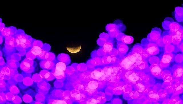 Seen past Christmas lights, the earth’s shadow starts to cover the moon during a lunar eclipse at a public square in Caracas, Venezuela. Beaver Blood Moon gets its name from the fact that this is usually the time beavers start to take shelter in their lodges with sufficient stores of food for the long winter season ahead. AP Seen past Christmas lights, the earth’s shadow starts to cover the moon during a lunar eclipse at a public square in Caracas, Venezuela. Beaver Blood Moon gets its name from the fact that this is usually the time beavers start to take shelter in their lodges with sufficient stores of food for the long winter season ahead. AP
