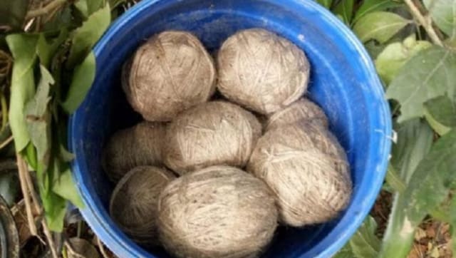 West Bengal: 2 children injured while playing with bombs