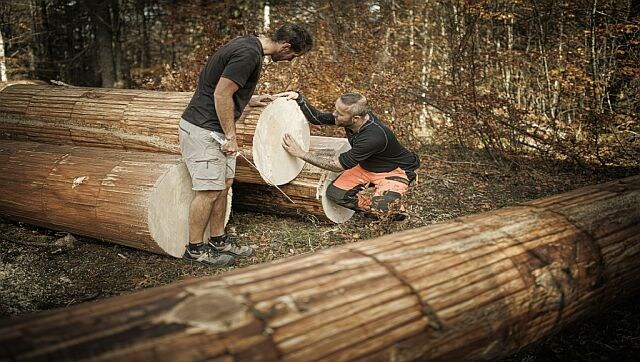 The Sound of Music: How climate change threatens quality of acoustic guitars, violins and other string instruments The Sound of Music: How climate change threatens quality of acoustic guitars, violins and other string instruments