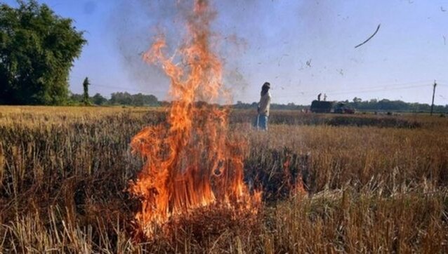 Stubble burning share in Delhi’s pollution jumps to 38 per cent , highest this season Stubble burning share in Delhi’s pollution jumps to 38 per cent , highest this season