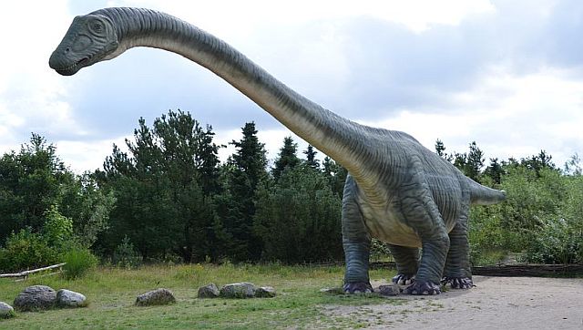 Jurassic Park What the world would look like if dinosaurs hadnt gone extinct