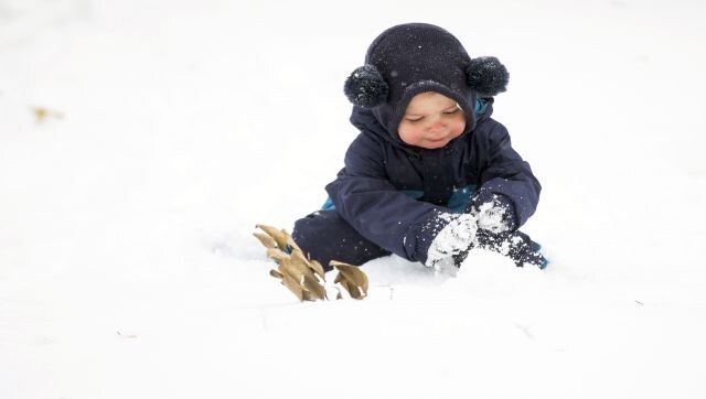 Snowvember in New York: Record storm buries New York under six feet of snow