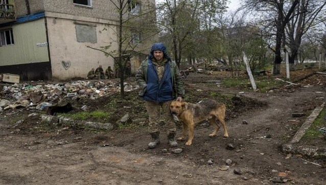 Is Russia planning to use homeless dogs as suicide bombers? 俄罗斯计划用流浪狗当自杀炸弹手吗?