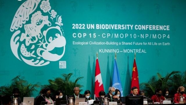 Biodiversity talks open as UN chief calls for 'peace pact' with nature