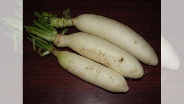 From reducing risk of diabetes to improving metabolism: Five health benefits of radish