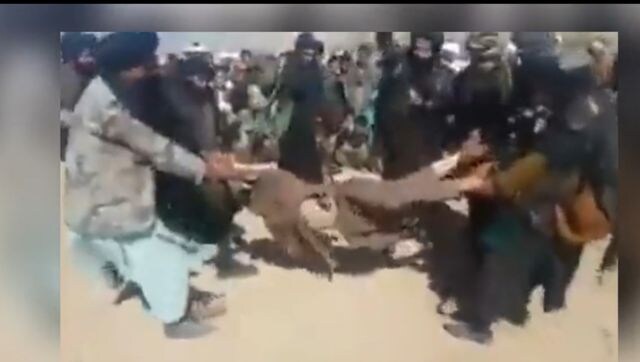 Watch: Sharia in action as Taliban publicly flogs men, women for adultery, theft, running away from home Watch: Sharia in action as Taliban publicly flogs men, women for adultery, theft, running away from home