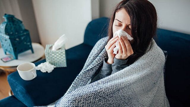 Explained: Why warmer noses are better at fighting colds Explained: Why warmer noses are better at fighting colds