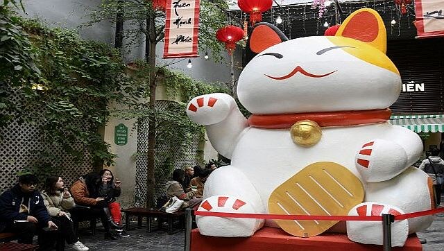 Explained: Why it's Year of The Cat and not Rabbit in Vietnam Explained: Why it's Year of The Cat and not Rabbit in Vietnam