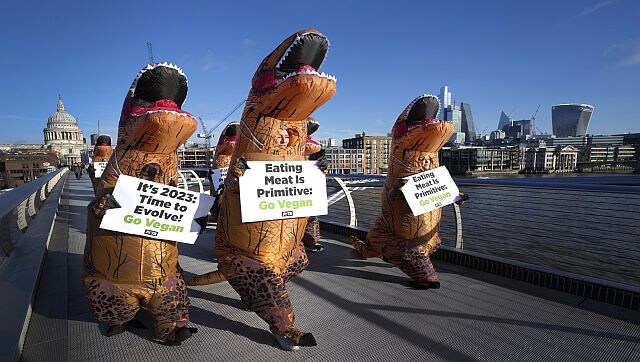 Explained: How veganism is more of a political movement than a dietary choice Explained: How veganism is more of a political movement than a dietary choice