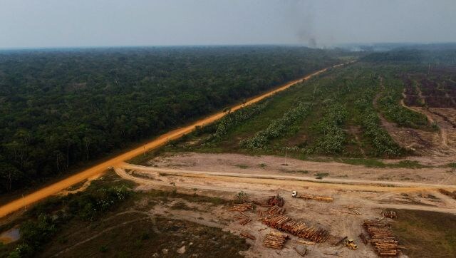 One third of Amazon 'degraded' by human activity, drought One third of Amazon 'degraded' by human activity, drought
