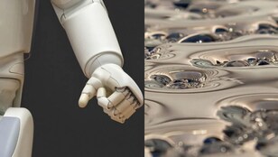 Terminator comes to life: Scientists create shapeshifting robot that liquefies on command Terminator comes to life: Scientists create shapeshifting robot that liquefies on command