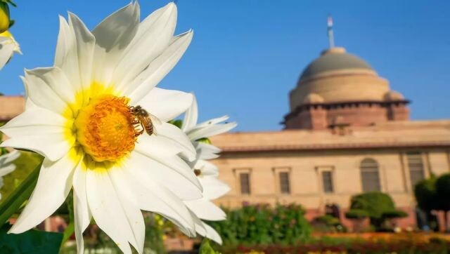 It is said that during President Pranab Mukherjee’s tenure, nearly 2000 different varieties of trees were planted on the Estate. PTI It is said that during President Pranab Mukherjee’s tenure, nearly 2000 different varieties of trees were planted on the Estate. PTI