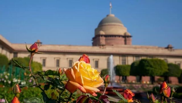 The garden is said to be the “soul” of the Presidential Palace. The garden hosts 159 varieties of roses. Some of them are also named after people of national and international fame like Raja Ram Mohan Roy, Queen Elizabeth, Jawahar Lal Nehru, Abraham Lincoln, John F Kennedy, Mother Teresa, etc. PTI The garden is said to be the “soul” of the Presidential Palace. The garden hosts 159 varieties of roses. Some of them are also named after people of national and international fame like Raja Ram Mohan Roy, Queen Elizabeth, Jawahar Lal Nehru, Abraham Lincoln, John F Kennedy, Mother Teresa, etc. PTI
