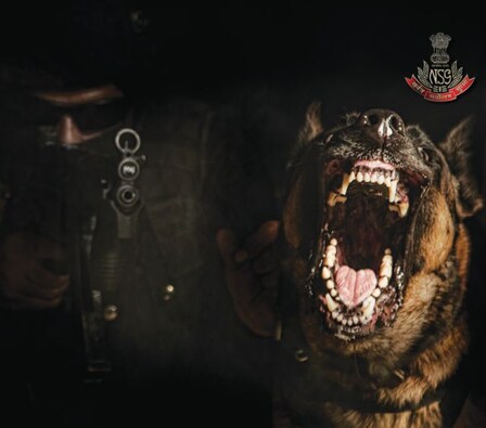 Ferocious for foes: Room intervention with K9 Belgian Malinois. Image Courtesy: Pravin Talan Ferocious for foes: Room intervention with K9 Belgian Malinois. Image Courtesy: Pravin Talan