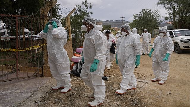 Bird flu continues to spread in mammals: Do humans need to worry? Bird flu continues to spread in mammals: Do humans need to worry?