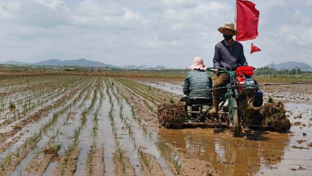 North Korea chronic food shortage worsens amid COVID-19, but no famine yet North Korea chronic food shortage worsens amid COVID-19, but no famine yet