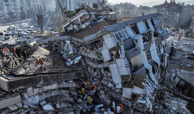 Viral video: Dog and three new-born puppies rescued from rubble month after Turkey earthquake