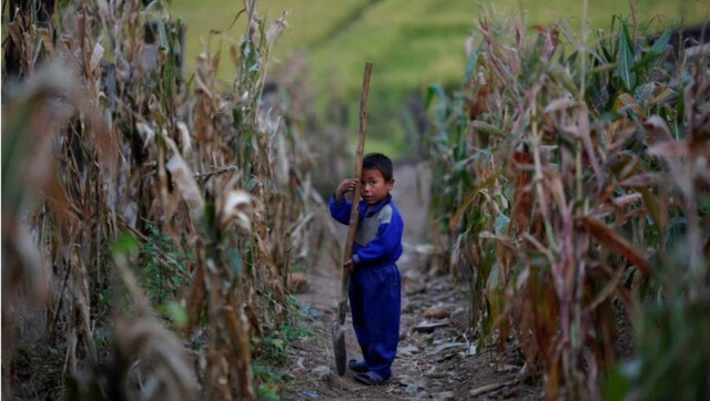 North Korea cuts down on soldiers' food ration as country faces potential food crisis