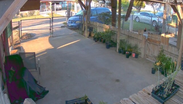 Watch: Large meteor crashes in Texas neighbourhood; loud explosion captured on doorbell camera