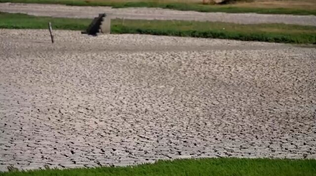 'The grass doesn't grow': In Chile's far south, the worst drought in 50 years 'The grass doesn't grow': In Chile's far south, the worst drought in 50 years