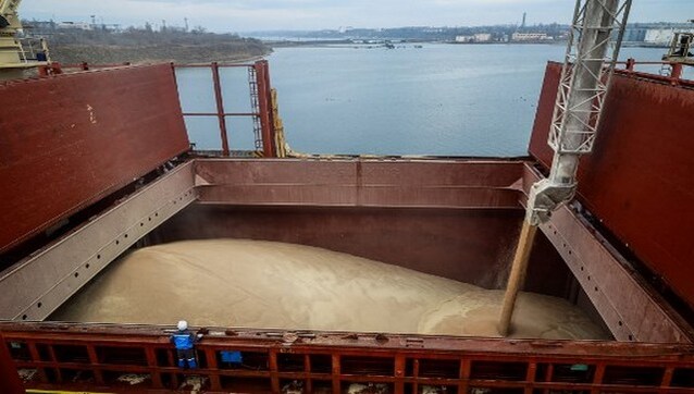 Ukraine seeks support for Africa grain deliveries, appeals to keep Black Sea shipping lanes open Ukraine seeks support for Africa grain deliveries, appeals to keep Black Sea shipping lanes open