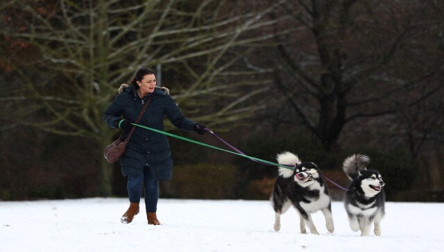 As per the report, the Kennel Club is the biggest organisation in the UK committed to the training, welfare, and healthcare of dogs. Its objective is to ensure that dogs have responsible owners and lead healthy, happy lives. Reuters As per the report, the Kennel Club is the biggest organisation in the UK committed to the training, welfare, and healthcare of dogs. Its objective is to ensure that dogs have responsible owners and lead healthy, happy lives. Reuters
