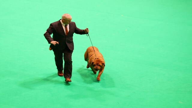 Clare Balding has returned to the competition this year with presenters Sophie Morgan, who made her Crufts debut in 2022, and Radzi Chinyanganya, reported The Scotsman. Reuters Clare Balding has returned to the competition this year with presenters Sophie Morgan, who made her Crufts debut in 2022, and Radzi Chinyanganya, reported The Scotsman. Reuters
