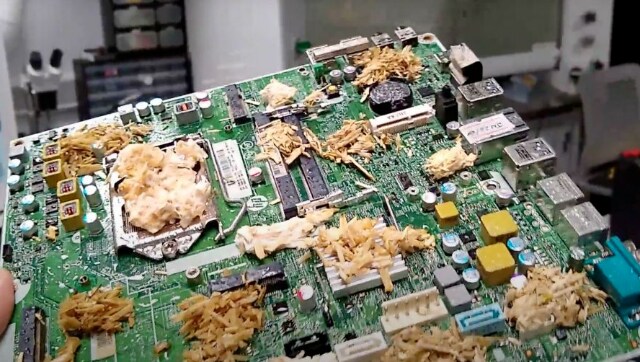 A Living PC: Scientists showcase a working demo of a PC powered by mushrooms