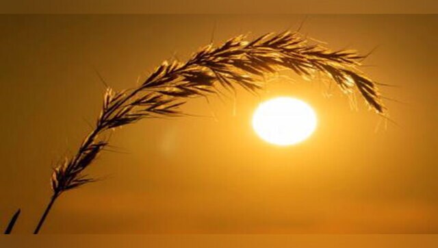Afghanistan seeks UN support for wheat storage amid concerns of drought