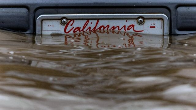 Watch: Man finds large fish on California street as state batters heavy rains and floods