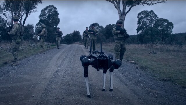 Canine sentinel: Australian army conducts trials of mind-controlled 'robot dogs' in training exercise Canine sentinel: Australian army conducts trials of mind-controlled 'robot dogs' in training exercise