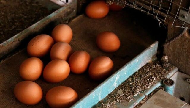 Sri Lanka imports 2 million eggs from India to deal with shortage
