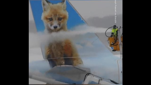 Watch: Planes undergo de-icing at Rochester International Airport in New York due to nor’easter