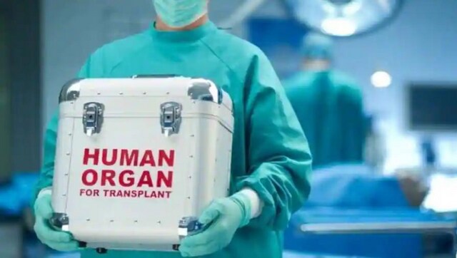 Nigerian Senator smuggles man into UK to illegally harvest kidney for ailing daughter, arrested