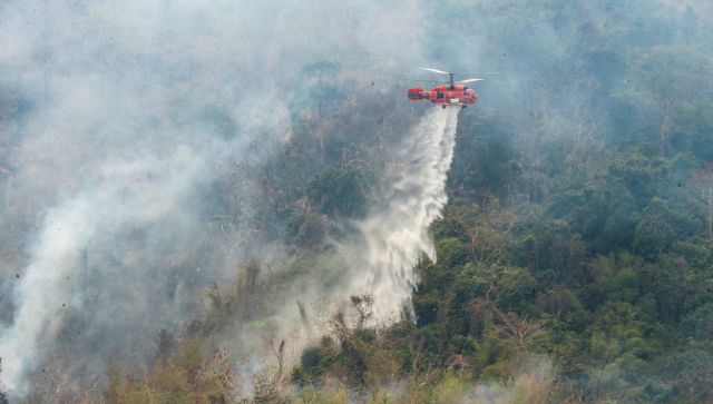 thailand forest fires 