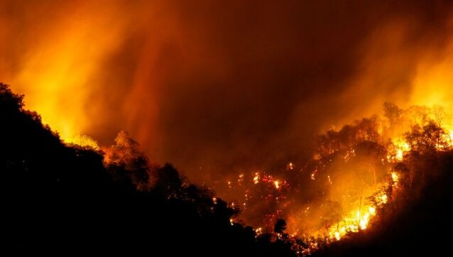 Yellow Clouds of Doom: How Thailand’s forest fires have made millions sick Yellow Clouds of Doom: How Thailand’s forest fires have made millions sick