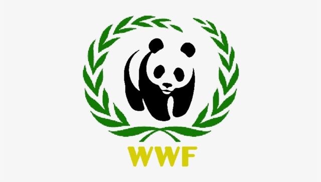 Russia lists World Wildlife Fund, other Kremlin critics as foreign agents