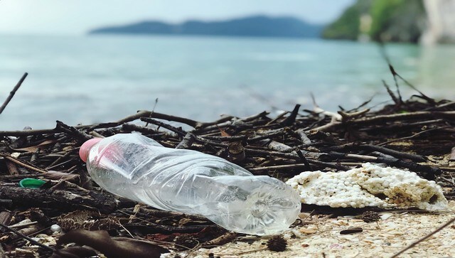Rise in ocean plastic pollution reached 'unprecedented' since 2005