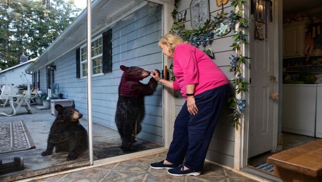 Janice and Cubs: Janice Husebo reaches out to a pair of bear cubs through the sliding glass doors of her home in Asheville, North Carolina. The photographer says: “Multiple times a day bears show up on their back porch… Janice has developed a close bond with the bears and plays with the cubs using a feather duster through the sliding glass door.” Image Courtesy: Corey Arnold/Sony World Photography Awards 2023 Janice and Cubs: Janice Husebo reaches out to a pair of bear cubs through the sliding glass doors of her home in Asheville, North Carolina. The photographer says: “Multiple times a day bears show up on their back porch… Janice has developed a close bond with the bears and plays with the cubs using a feather duster through the sliding glass door.” Image Courtesy: Corey Arnold/Sony World Photography Awards 2023
