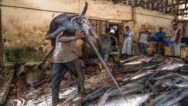 A man carries a large swordfish through the auction area of the Hamar Weyne fish market. The Hamar Weyne fish market, in the heart of Mogadishu, is a vital hub for the fish trade. Despite the challenges posed by the ongoing civil war and a lack of investment in the sector, the market remains a key source of employment and economic activity. Image Courtesy: Tariq Zaidi/Sony World Photography Awards 2023 A man carries a large swordfish through the auction area of the Hamar Weyne fish market. The Hamar Weyne fish market, in the heart of Mogadishu, is a vital hub for the fish trade. Despite the challenges posed by the ongoing civil war and a lack of investment in the sector, the market remains a key source of employment and economic activity. Image Courtesy: Tariq Zaidi/Sony World Photography Awards 2023