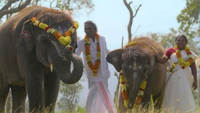 The Elephant Whisperers Oscar win makes Tamil Nadu elephant camp a tourist attraction