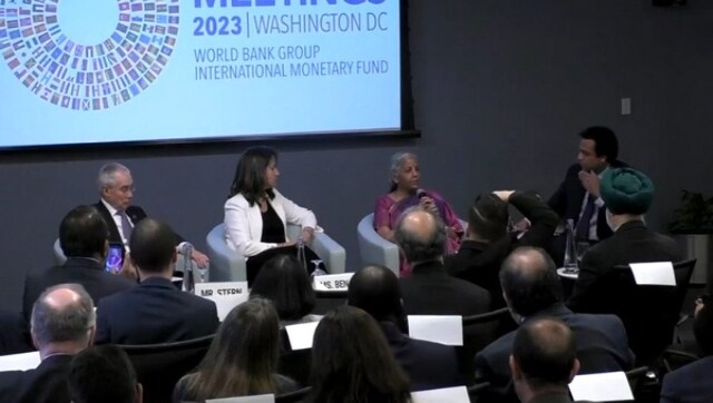 Climate hitting us in everyday life, need to have more influential people talking about it, says FM Sitharaman