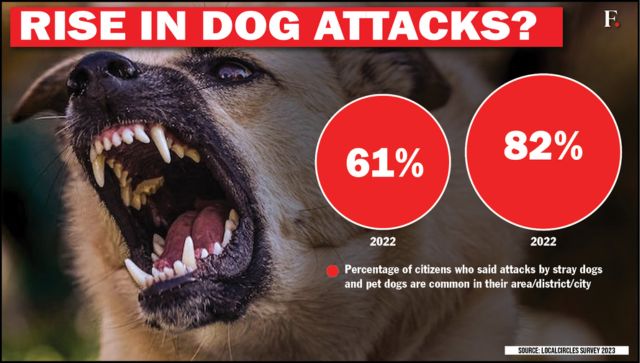 Stray dog attacks in india