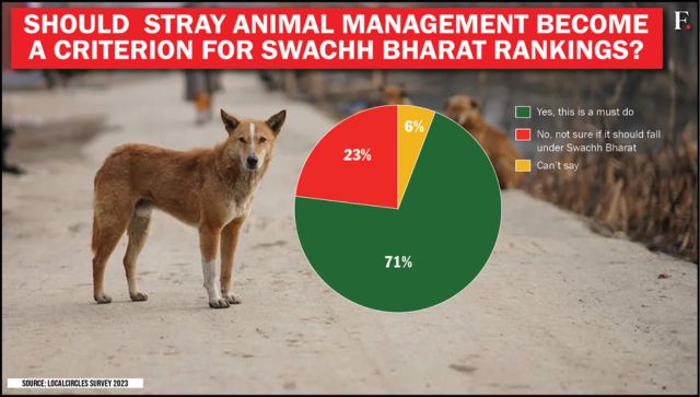 Oh Dog Why canine attacks are on the rise in India