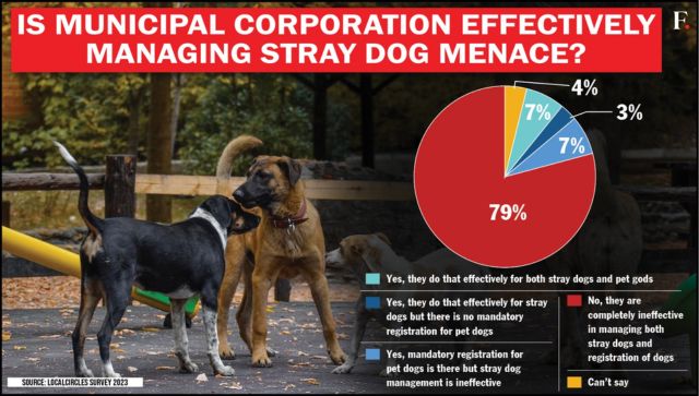 Oh Dog Why canine attacks are on the rise in India