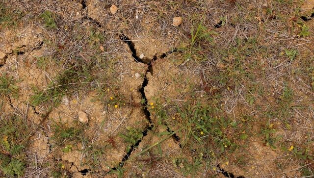 These abnormally high temperatures are bad news for Spain which has been reporting drought since last January, hitting water reservoirs across the country. Since October, the Iberian Peninsula has seen 25 per cent plunge in rainfall, with 2022 being one of Spain’s driest year on record. Reuters